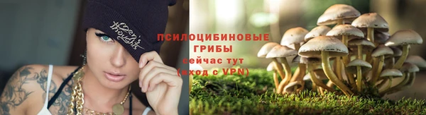 соль курить ск Балахна
